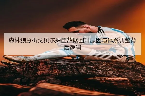 森林狼分析戈贝尔护筐数据回升原因与体系调整背后逻辑